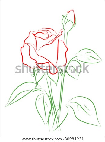 rose drawing outline. vector of rose outline