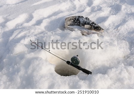 pike and burbot on the ice near a fishing rod