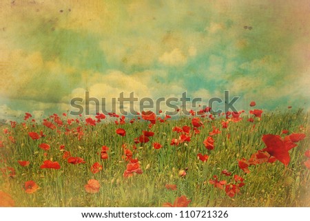 Red poppies fields with blue sky and grungy effect