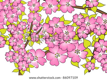 White Cherry Blossom Drawing