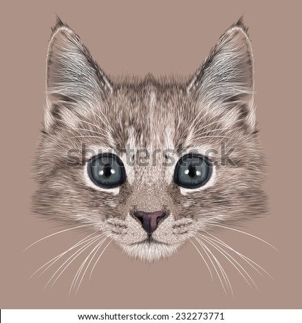 Illustration Portrait of Domestic kitten. Cute little turtle color cat with curious eyes.