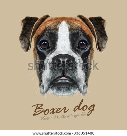 Vector Illustrated Portrait of Boxer dog on beige background.  Fawn boxer dog is  short-haired dogs developed in Germany.