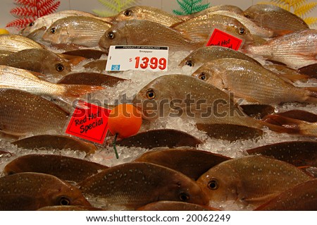 Fish market counter with fish on ice