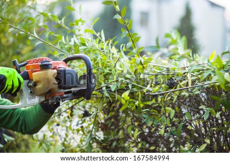 Cutting hedge with powertools
