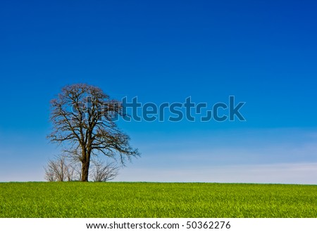 [Obrazek: stock-photo-rural-landscape-with-tree-50362276.jpg]