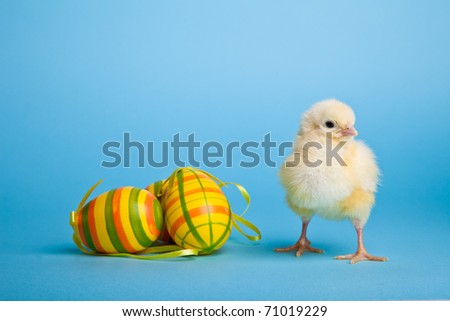 [Obrazek: stock-photo-easter-eggs-and-chickens-on-...019229.jpg]
