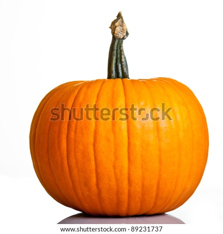 [Obrazek: stock-photo-ripe-pumpkin-fruits-isolated...231737.jpg]