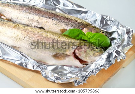 Two fresh trout on tin foil