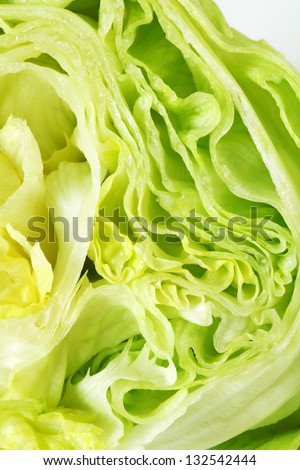 Cross section of ice lettuce
