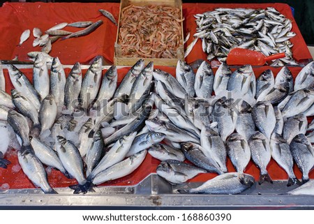 Fresh Seafood on sale at the famous Kapalicarsi Grand Bazaar, Istanbul, Turkey