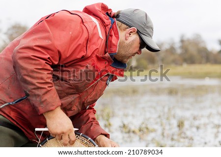 Professional Eel Fisherman hauling in his nets and collecting the fish