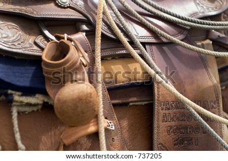Close up detail of Western Horse Saddle and Lasso rope