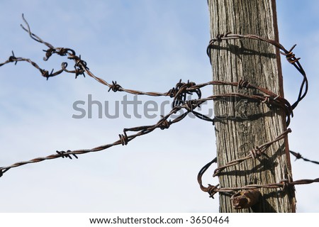 Rusty old Barbed Wire curled around old fence post