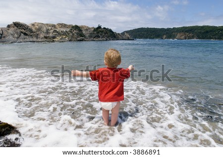 Young boy, two years old, playing at the beach at the water\'s edge