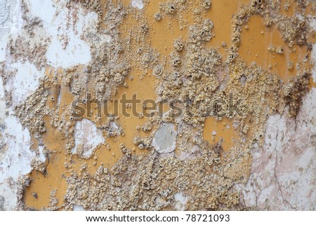 Close up detail of salt damp texture on exterior building wall, also known as rising damp