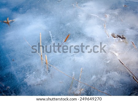Frozen lake with dry leaf in winter season, Summer Palace, Beijing, China