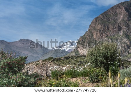 Beautiful Natural view from The Colca Canyon, the deepest canyon in the world, Arequipa, Peru