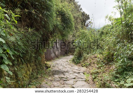 Path walk on The Inca Trail, Machu Picchu, Peru