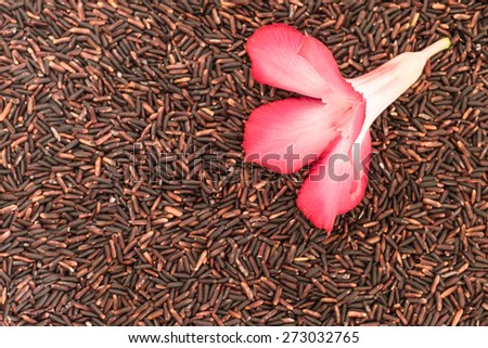 Rose desert flower on brown-purple raw rices
