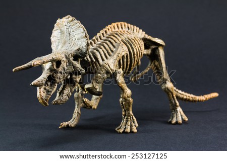 Triceratops fossil dinosaur skeleton model toy on black background