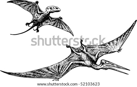 Dinosaur Coloring Sheets on Pterodactyl Or Pteranodon Dinosaur Stock Vector 52103623