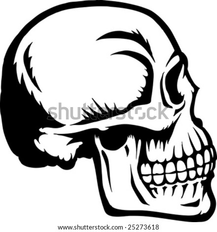 stock vector Side Skull Ink drawing of a skull Can be used for anything
