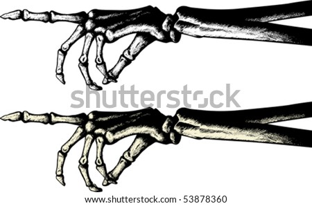 human skeleton hand. Skeletal+hand+labeled