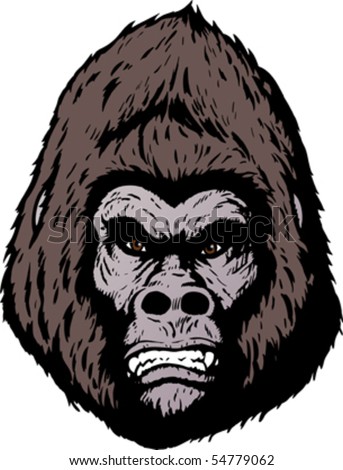 Gorilla Face Cartoon