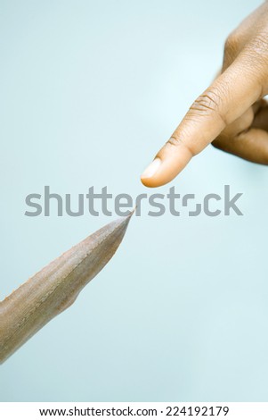 Finger pointing at tip of leaf, extreme close-up