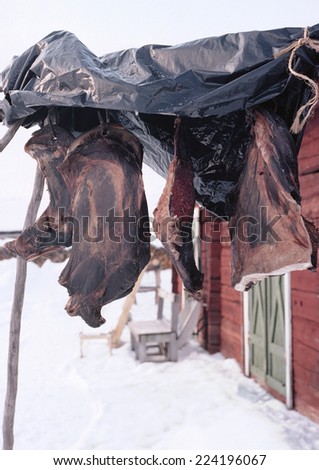 Sweden, meat hanging to dry outside house