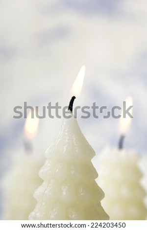 White Christmas tree shaped candles burning
