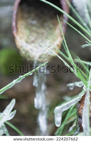 Water running from pipe, frozen vegetation in foreground