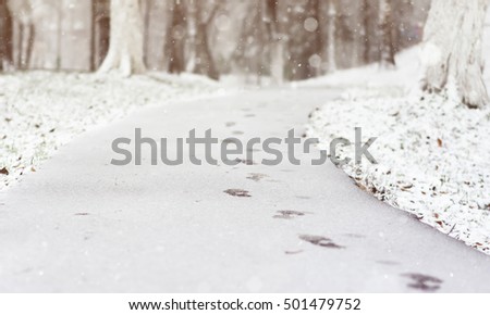 Winter road in the city park. Blurred nature background. Winter Scene concept.