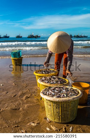 LongHai, Vietnam. The woman is collecting fish on beach.