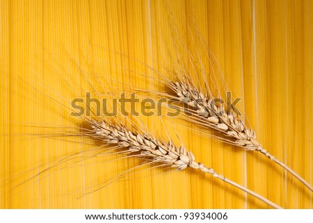 ears of ripe wheat pasta on the background