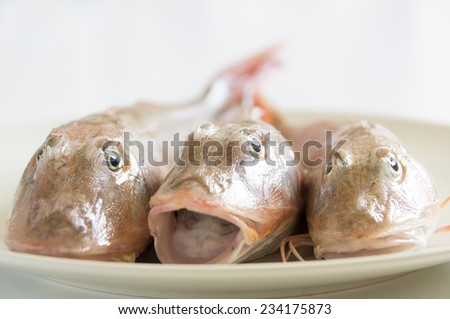 Fresh fish  with red scales  open mouth on white plate close up