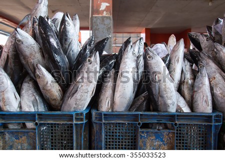Indramayu,Indonesia - 29 August 2015: Fish in the bucket at Indramayu Fish Market for auction purpose on 29 August 2015