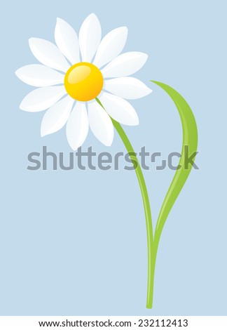 Single white daisy on blue background.