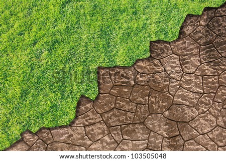 Environment - fresh green grass and dried earth