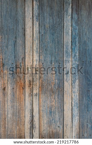 Partial Close-up two plain wood doors