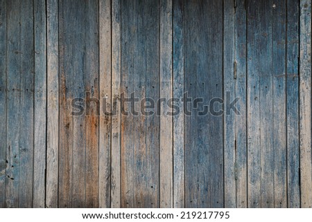 Partial Close-up two plain wood doors