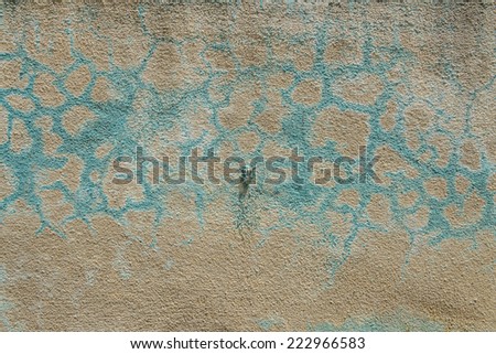 Blistered paint texture on damp wall