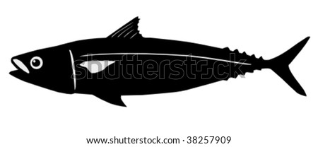 cartoon mackerel