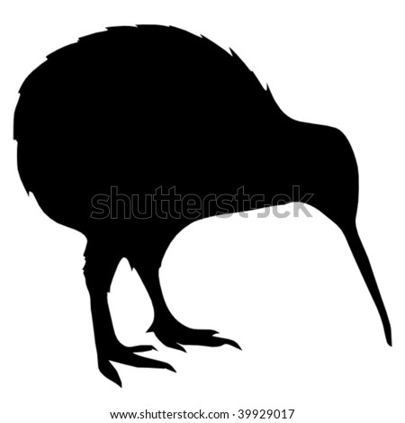 stock vector : silhouette of kiwi