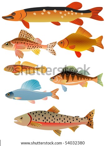 Images Of Fishes. stock vector : set of fishes