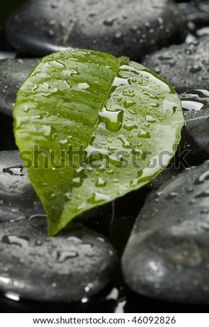 spa stones with leaves and water drops