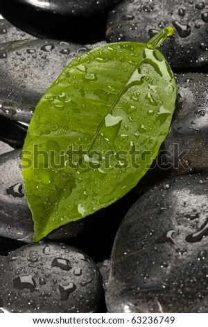 blak spa stones with leaf and water drops