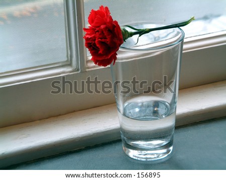 Red flower resting on a vase and window sill.