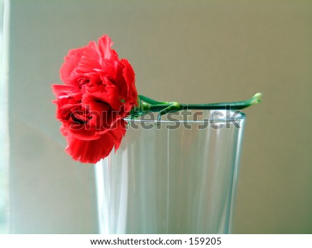 Flower resting on vase lit by natural lighting (empty space for copy)