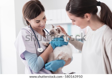 Smiling professional veterinarian holding a beautiful cat after examination, the pet owner is cuddling her cat